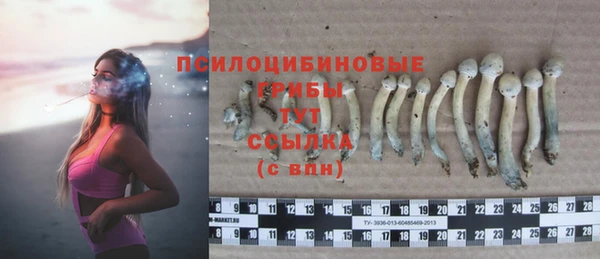 гидра Семилуки