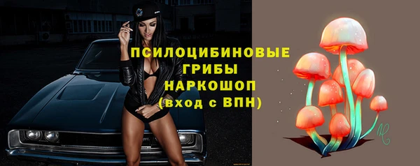 молекула духа Елизово