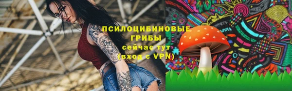 молекула духа Елизово