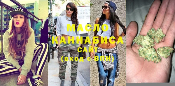 мдпв Дмитров
